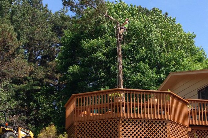 Tree removal over a deck